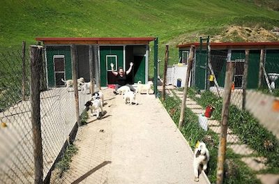 Tierschutzprojekt-Italien e.V.